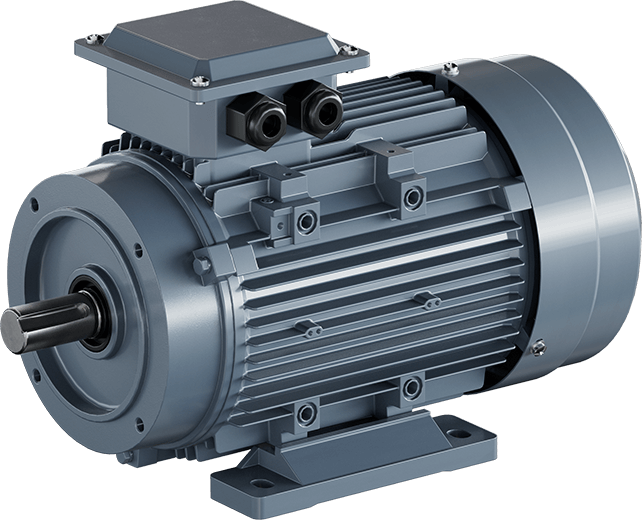 Washer Motor