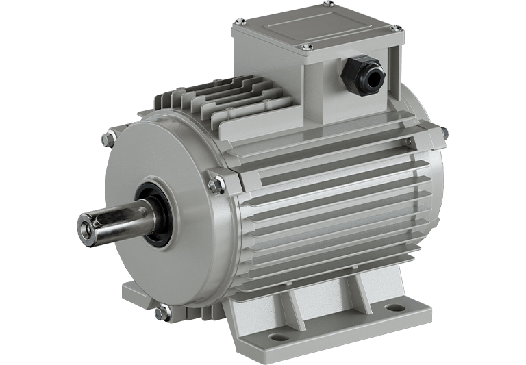 Negative Pressure Fan Motor