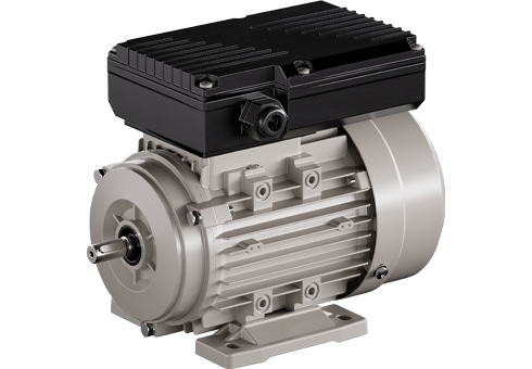 YL double-value capacitor single-phase asynchronous motor
