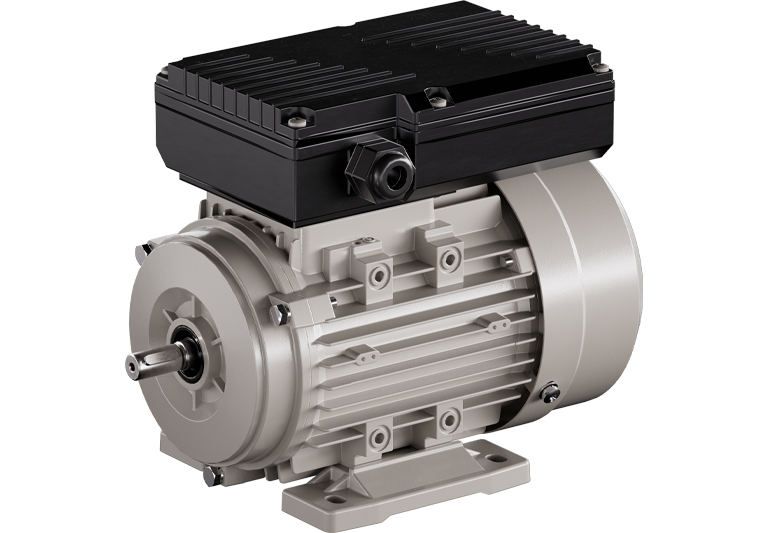 YL double-value capacitor single-phase asynchronous motor