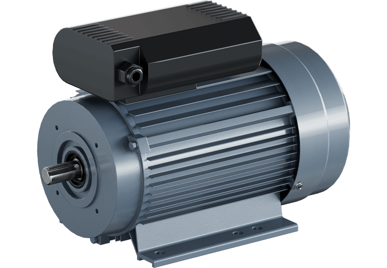 Single-phase cleaning machine motor