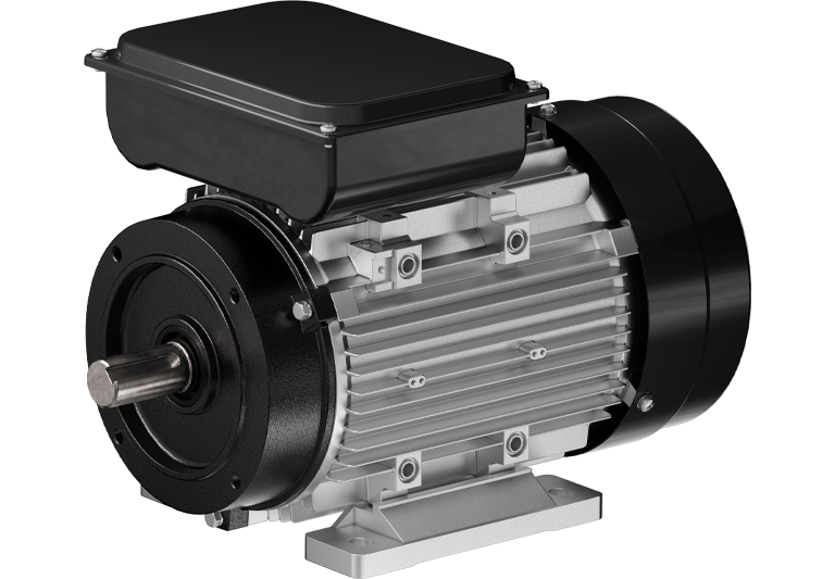 Single-phase cleaning machine motor